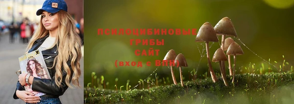 СК Краснослободск