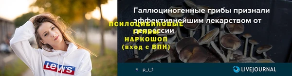 сатива Ижевск