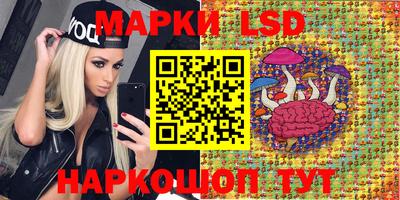 индика Абакан