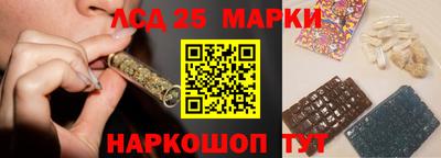 индика Абакан