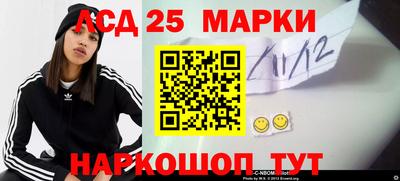 индика Абакан