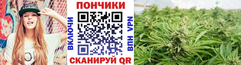 купить наркоту Альметьевск Бошки Шишки Amnesia